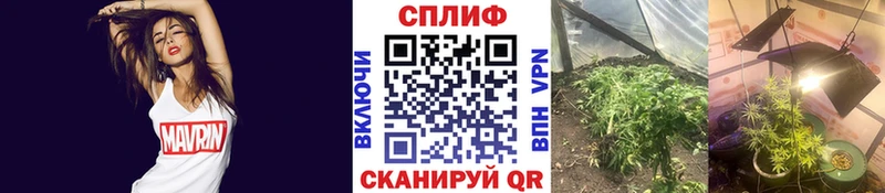 Купить наркотики Краснообск Амфетамин Бошки Шишки A-PVP