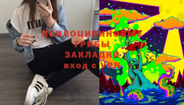 прущая мука Белокуриха