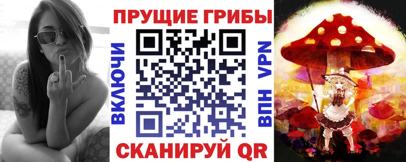 блэк спрут ссылка  Краснообск  Псилоцибиновые грибы Psilocybine cubensis 